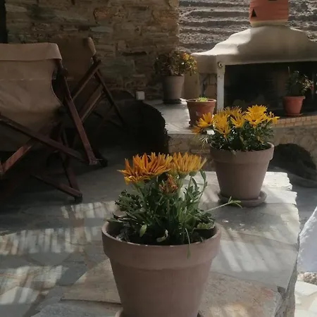 Myrtia